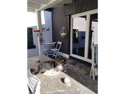 Apartment 2-Bett-Ferienwohnung mit Galerie - Outdoor photo 17