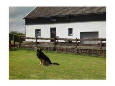 Apartment 10-Bett-Ferienhaus Maria - Features photo 24