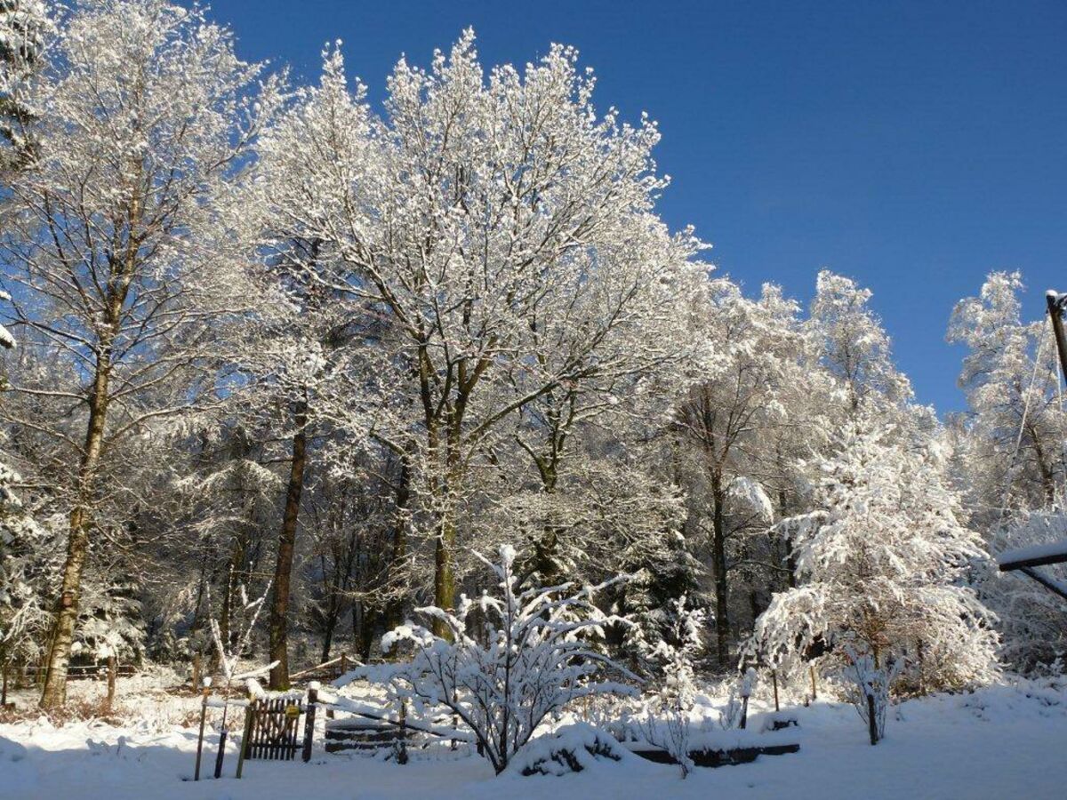 Apartment 5-Bett-Ferienwohnung Kirmessief - Outdoor photo 2