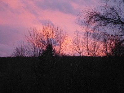 Apartment 5-Bett-Ferienwohnung Kirmessief - Outdoor photo 11