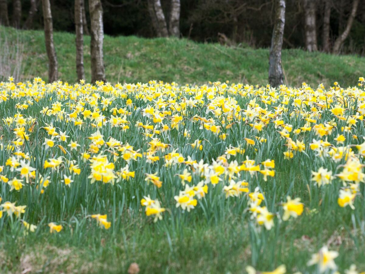 Apartment 2-Bettwohnung - Outdoor photo 4