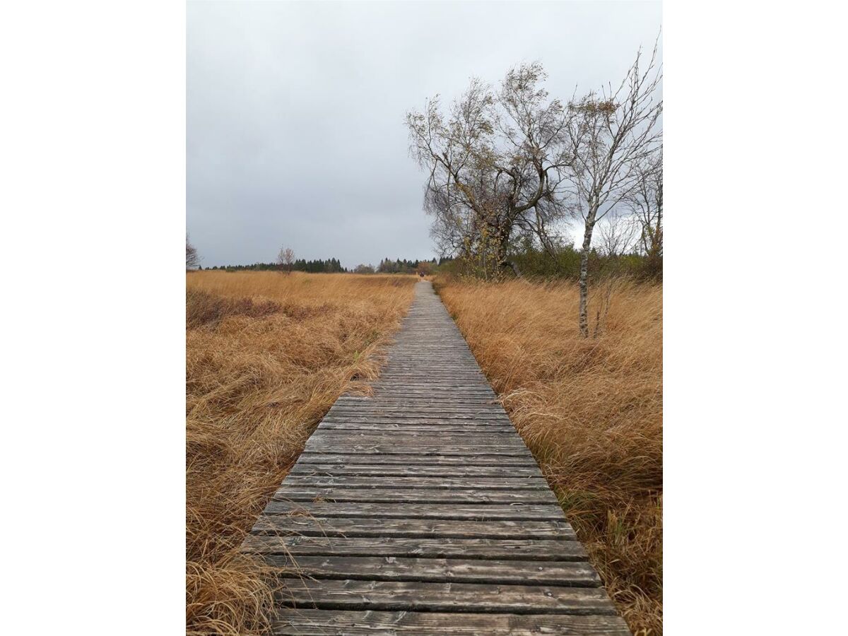 Apartment 2-Bettwohnung - Outdoor photo 5