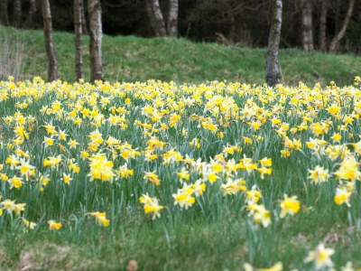 Apartment 2-Bettwohnung - Outdoor photo 4