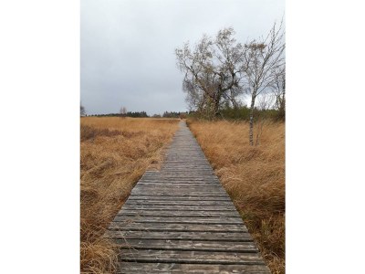 Apartment 2-Bettwohnung - Outdoor photo 5