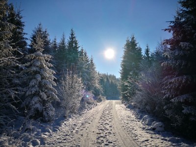 Apartment 4-Bett-Ferienwohnung - Outdoor photo 11