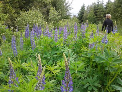 Apartment 4-Bett-Ferienwohnung - Outdoor photo 13