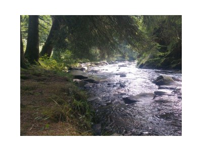 Apartment 4-Bett-Ferienwohnung - Outdoor photo 15