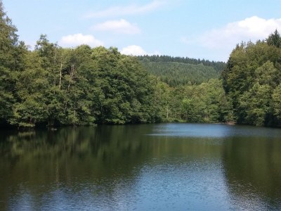 Apartment 4-Bett-Ferienwohnung - Outdoor photo 16