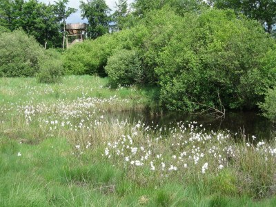 Apartment 4-Bett-Ferienwohnung - Outdoor photo 18