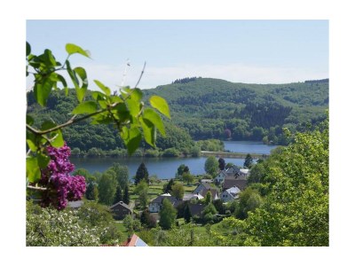 Apartment 4-Bett-Ferienwohnung Eifel-Flair - Outdoor photo 3