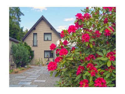 Apartment 4-Bett-Ferienwohnung Eifel-Flair - Outdoor photo 8