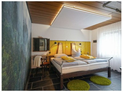 Apartment 4-Bett-Ferienwohnung Eifel-Flair - Features photo 9