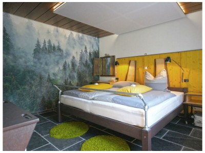 Apartment 4-Bett-Ferienwohnung Eifel-Flair - Features photo 11