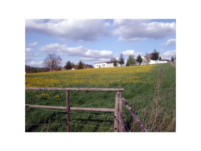Apartment Ferienwohnung Bachgasse - Outdoor photo 8