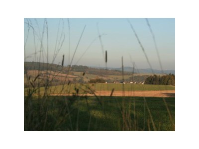 Apartment Ferienwohnung Bachgasse - Outdoor photo 16