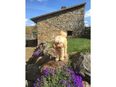 Apartment Ferienwohnung Bachgasse - Outdoor photo 22