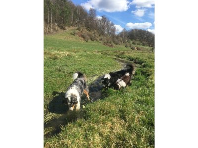 Apartment Ferienwohnung Bachgasse - Outdoor photo 23