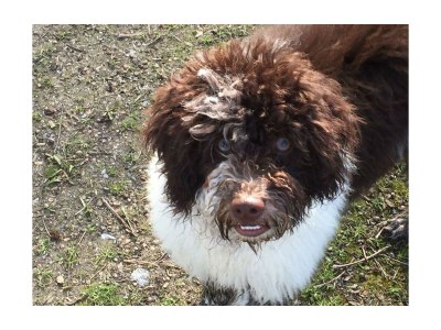 Apartment Ferienwohnung Bachgasse - Outdoor photo 24