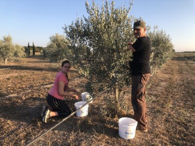 Holiday apartment Il Granaio - Outdoor photo 15