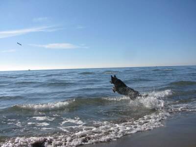 Holiday apartment Il Granaio - Environment photo 31