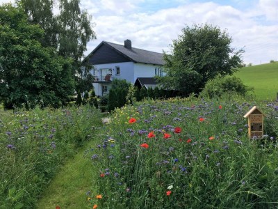 Apartment 2-Bett-Ferienwohnung Auszeit - Outdoor photo 10
