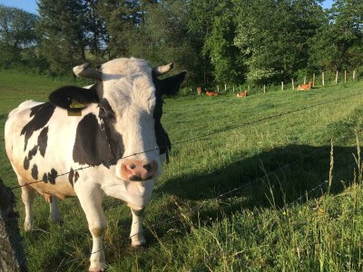 Apartment 2-Bett-Ferienwohnung Auszeit - Outdoor photo 29