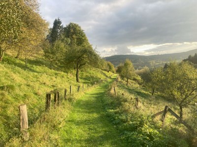 Apartment 2-Bett-Ferienwohnung Auszeit - Outdoor photo 30