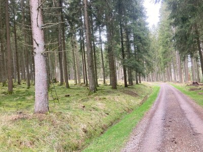 Apartment 2-Bett-Ferienwohnung Auszeit - Outdoor photo 31