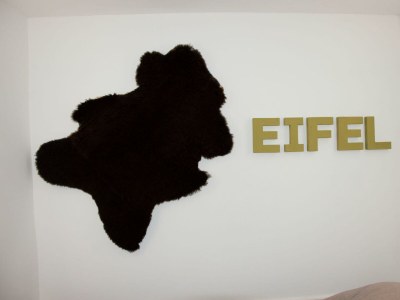 Apartment 2-Bett-Ferienwohnung Auszeit - Features photo 33