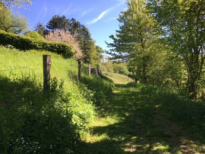 Apartment 2-Bett-Ferienwohnung Auszeit - Features photo 59