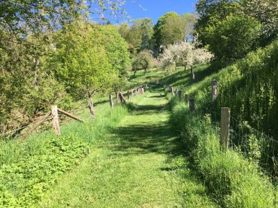 Apartment 2-Bett-Ferienwohnung Auszeit - Features photo 60