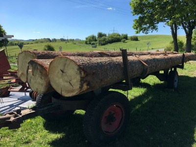 Apartment 2-Bett-Ferienwohnung Auszeit - Features photo 68