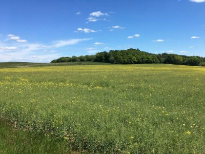 Apartment 2-Bett-Ferienwohnung Auszeit - Features photo 70