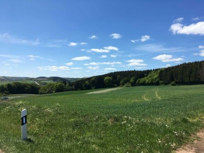 Apartment 2-Bett-Ferienwohnung Auszeit - Features photo 71