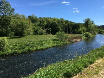 Apartment 2-Bett-Ferienwohnung Auszeit - Features photo 74