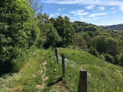 Apartment 2-Bett-Ferienwohnung Auszeit - Features photo 77