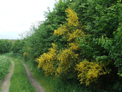 Apartment Ferienwohnung mit 2 Schlafzimmern (NR) - Outdoor photo 18
