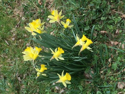 Apartment Ferienwohnung mit 2 Schlafzimmern (NR) - Outdoor photo 20