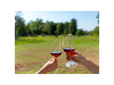 Apartment 3-Bett-Ferienwohnung Gelassenheit - Outdoor photo 19