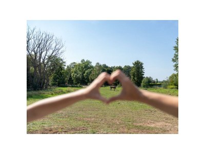 Apartment 3-Bett-Ferienwohnung Gelassenheit - Outdoor photo 31