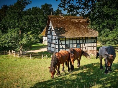Apartment 3-Bett-Ferienwohnung Gelassenheit - Outdoor photo 38