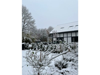 Apartment 3-Bett-Ferienwohnung Gelassenheit - Features photo 49