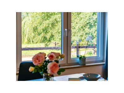 Apartment 3-Bett-Ferienwohnung Gelassenheit - Features photo 58