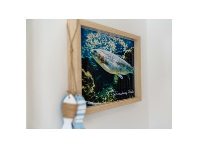 Apartment 3-Bett-Ferienwohnung Gelassenheit - Features photo 70