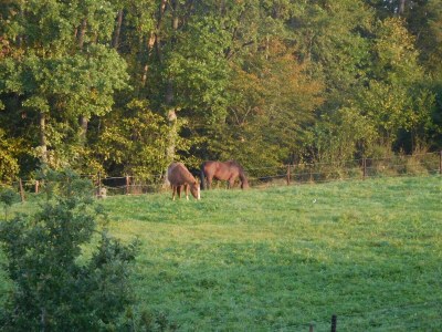 Apartment 2-Bett-Ferienwohnung Charly, Nichtraucher - Outdoor photo 22