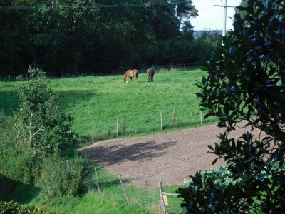 Apartment 2-Bett-Ferienwohnung Charly, Nichtraucher - Outdoor photo 23