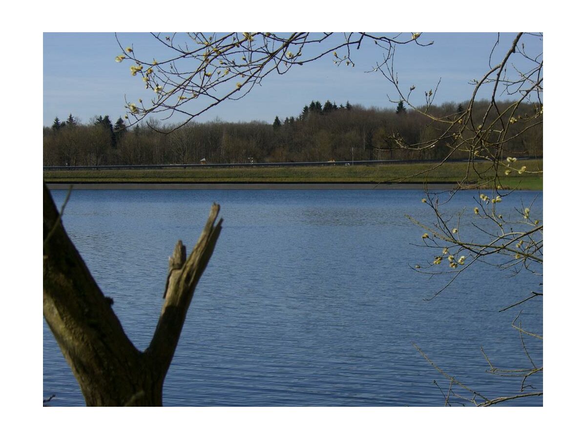 Apartment 2-Bett-Ferienhaus Höppches - Outdoor photo 2