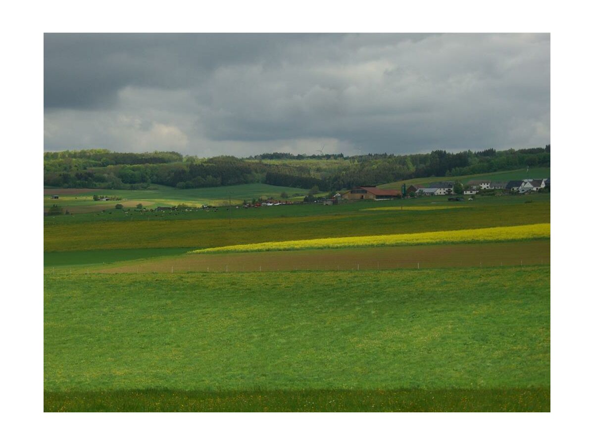 Apartment 2-Bett-Ferienhaus Höppches - Outdoor photo 3