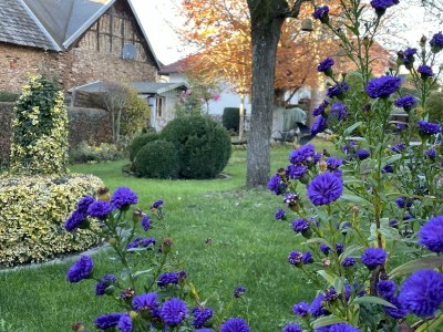 Apartment 2-Bett-Ferienhaus Höppches - Features photo 9