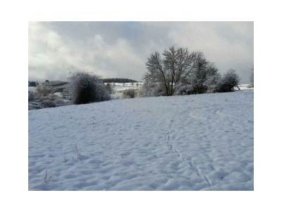 Apartment 4-Bett-Ferienwohnung Dusche u. Bad/WC, 2 Schlafzi. in Hellenthal - Apartment